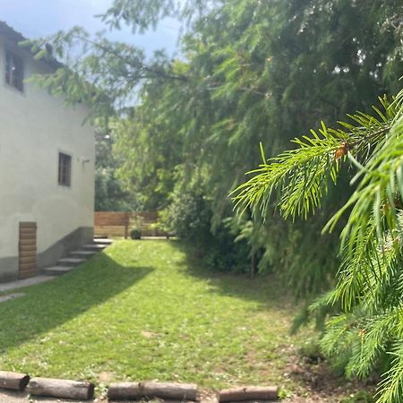 Gioconda casa vacanze Villa Montevarchi Exterior photo